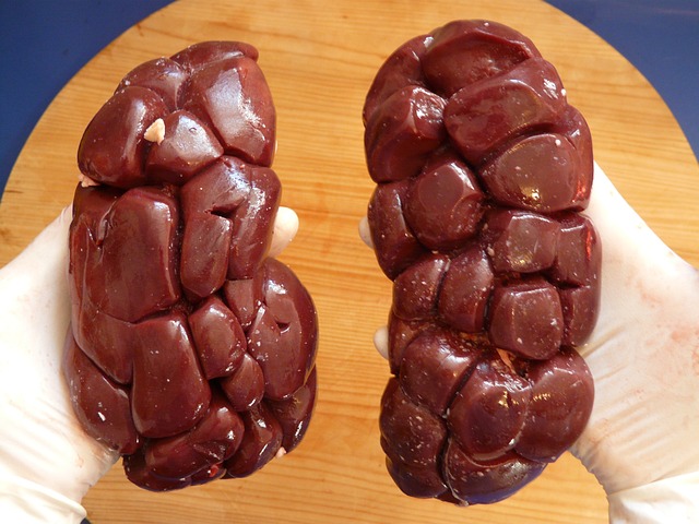 offals