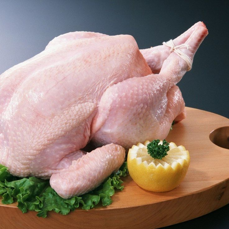 duck
