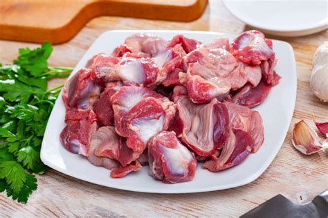 gizzard