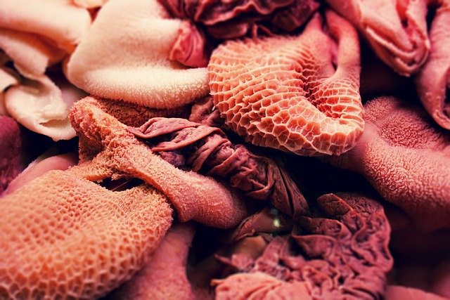 offals